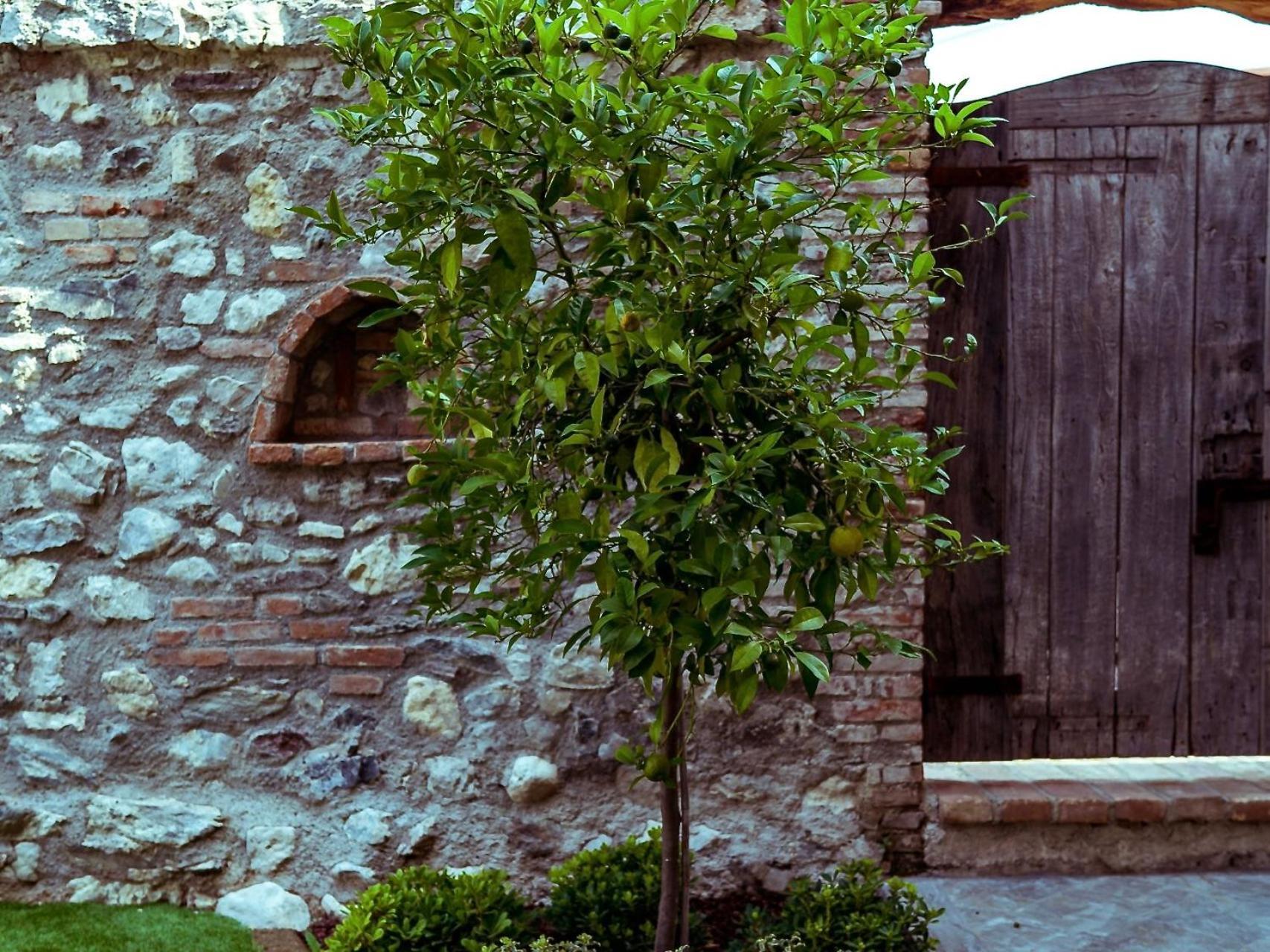 Villa Fontanelle Gardapartments Polpenazze del Garda Ngoại thất bức ảnh